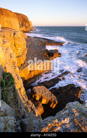 Tramonto in inverno Glow espressi su Rockface a Dancing Ledge nella contea di Dorset England Regno Unito Foto Stock