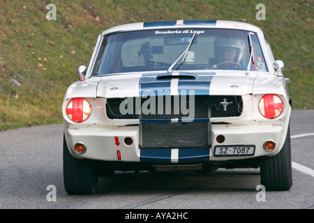 Ford Mustang Shelby GT 350 R, costruito 1965 Foto Stock