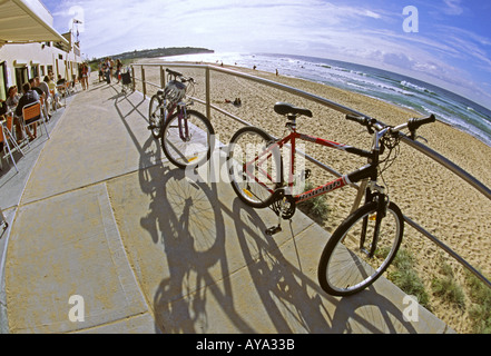 La mattina presto al Surf Club cafe Sud Curl Curl beach Sydney Australia Foto Stock