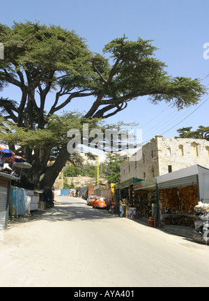 Qadisha valle Libano Foto Stock