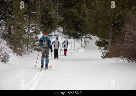 Gli sciatori in erba Creek sci di fondo, mai Estate Nordic, Colorado State Forest, Gould, Colorado. Foto Stock