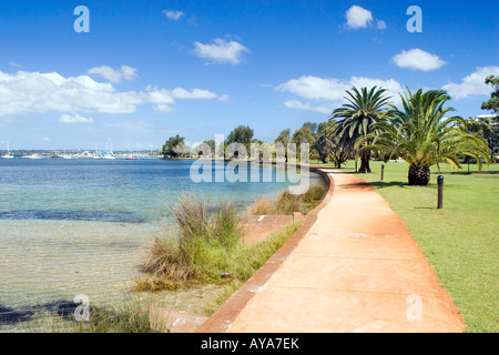 Un palm alberata via accanto al Fiume Swan vicino al Pelican Point in Crawley, Perth. Una marina può essere visto in lontananza. Foto Stock