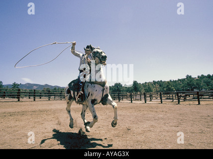 Un cowboy oscilla la sua corda o lariat come cavalca il suo cavallo appaloosa Foto Stock