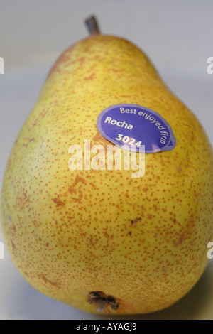 Rocha frutta pera Foto Stock