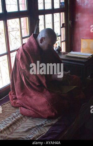Monaco tibetano meditazione da una finestra nel monastero di Drepung in Tibet Foto Stock