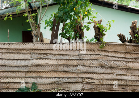 Recinzione fatta di tessuti di foglie di palma, vicino alla spiaggia di Negombo, nei pressi di Colombo, Sri Lanka. Foto Stock
