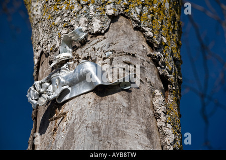 A seguito di un incidente stradale, scarti affondato in un albero sul ciglio della strada. Morceau de ferraille fiché dans un arbre suite à onu incidente Foto Stock