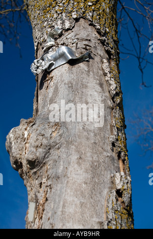 A seguito di un incidente stradale, scarti affondato in un albero sul ciglio della strada. Morceau de ferraille fiché dans un arbre suite à onu incidente Foto Stock