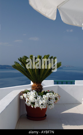 Isola greca vista sul mare di fiori di Santorini Foto Stock