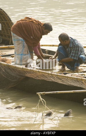 I pescatori in Bangladesh Sundarbans utilizzare lontre per aiutarli a catturare pesci. Foto Stock