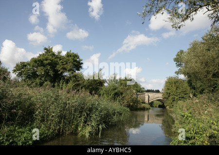 Tarda estate sul pittoresco Fiume Windrush vicino a Bourton sull'acqua in Cotswolds, Foto Stock