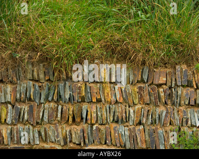 Asciugare la parete di pietra sormontato da erba Foto Stock