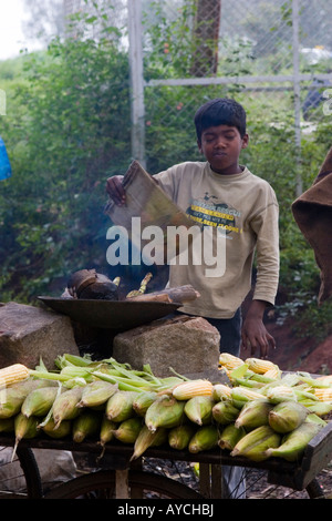 Vendita di granturco a caldo o sulla pannocchia di mais a Bangalore in India Foto Stock