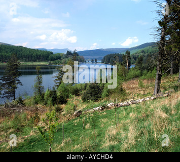Taf Fechan serbatoi, il Parco Nazionale di Brecon Beacons, Powys, Wales, Regno Unito. Foto Stock