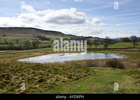 Pinker è stagno, vicino Middleham, North Yorkshire Foto Stock