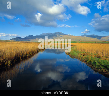 Riflessioni su un ruscello tranquillo nel periodo autunnale in Irlanda la seconda montagna più alta, Foto Stock