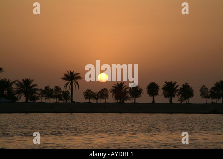 Isola Futaisi Abu Dhabi Emirati arabi uniti Foto Stock