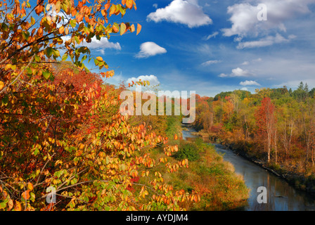I colori dell'autunno cambiando colore foglia lungo il fiume Humber Islington Avenue Toronto Foto Stock