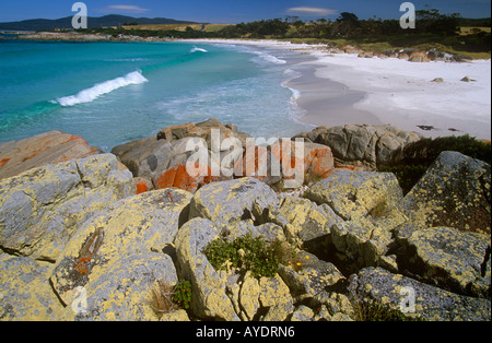 La costa a nord di Binalong Bay Bay di incendi riserva costiera costa nord-est della Tasmania Australia orizzontale Foto Stock