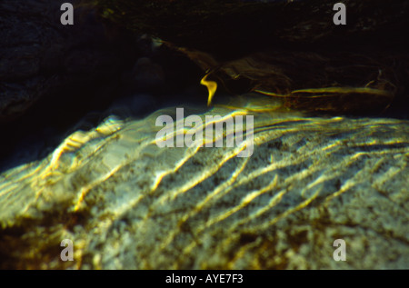 Acqua texture di ondulazione sulla superficie del flusso in esecuzione su massi di pietra Foto Stock