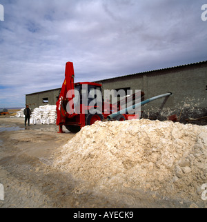 Chott el Djerid Tunisia endorheic Salt Lake la più grande Salt Pan del deserto del Sahara - produzione di sale Foto Stock