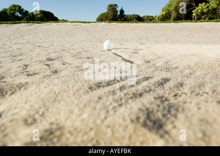 Una pallina da golf in una trappola di sabbia Foto Stock