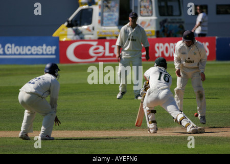 Glamorgan COUNTY CRICKET CLUB, SOPHIA GARDENS, Cardiff, South Glamorgan, South wales, Regno Unito Foto Stock