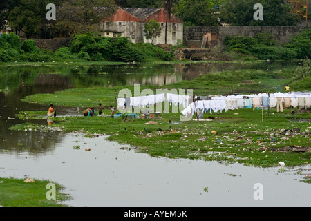 Donna mano a lavare i panni nel fiume a Dhobi Ghat a Chennai India del Sud Foto Stock