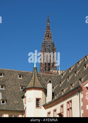 Il museo storico e la cattedrale la guglia, Strasburgo, Alsazia, Francia Foto Stock
