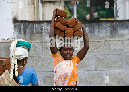 Le donne che trasportano mattoni in un cantiere edile a Tiruchirappalli o Trichy India del Sud Foto Stock