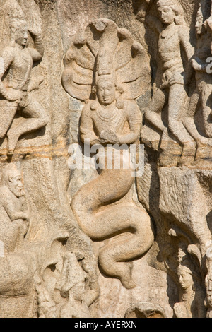 Arjuns penitenza Rock Carving in rilievo a Mamallapuram India del Sud Foto Stock