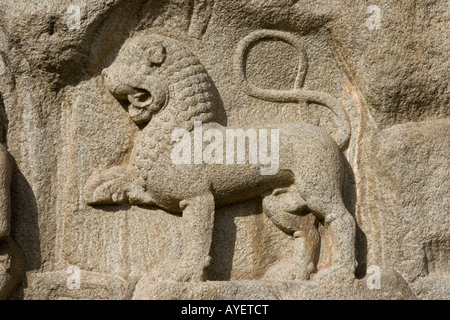 Arjuns penitenza Rock Carving in rilievo a Mamallapuram India del Sud Foto Stock