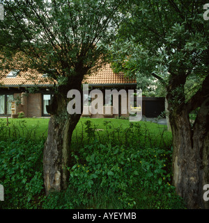 Due alberi di salice inquadratura vista della storia unica house Foto Stock