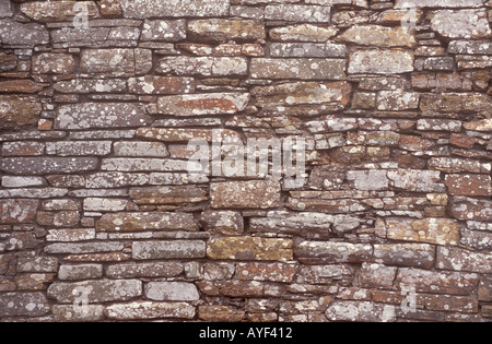 Un vecchio lichen coperta parete di pietra Foto Stock