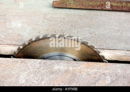 Tabella lama sul banco di lavoro in area di manutenzione della storica Lodz cimitero ebraico. Lodz Polonia centrale Foto Stock