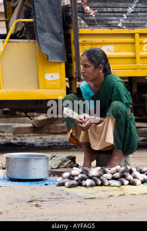 Donna indiana di vendita del pesce sulla strada. Puttaparthi, Andhra Pradesh, India Foto Stock