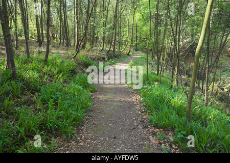 Witton Country Park Blackburn Lancashire a molla Foto Stock