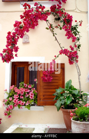 Facciata della casa con fiori Parga Grecia Foto Stock