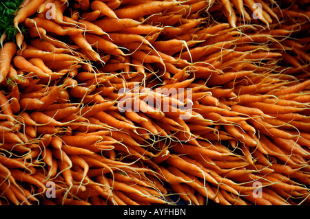 Una pila di grappoli di carota PRESSO IL MERCATO DEGLI AGRICOLTORI IN STROUD GLOUCESTERSHIRE REGNO UNITO Foto Stock