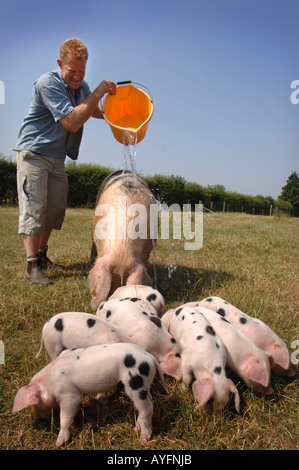 COUNTRYFILE presentatore TV e proprietario del Cotswold Farm Park ADAM HENSON Foto Stock