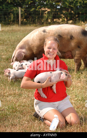 Una farm PARK ASSISTANT applica il blocco di Sun per le orecchie di un GLOUCESTER OLD SPOT maialino al Cotswold Farm Park Foto Stock