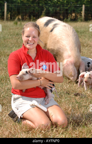 Una farm PARK ASSISTANT applica il blocco di Sun per le orecchie di un GLOUCESTER OLD SPOT maialino al Cotswold Farm Park Foto Stock