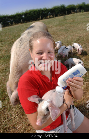 Una farm PARK ASSISTANT applica il blocco di Sun per le orecchie di un GLOUCESTER OLD SPOT maialino al Cotswold Farm Park Foto Stock