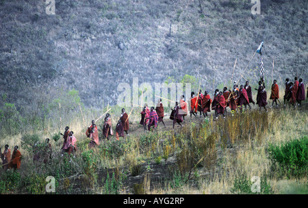Molti Maasai moran scendendo in linea nel cratere di Ngorongoro per la tradizionale celebrazione della Tanzania Africa orientale Foto Stock