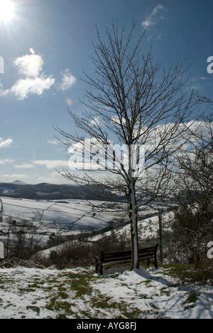 Banco sotto un albero nel paesaggio innevato con sun flare da angolo Teggs naso Country Park Macclesfield Cheshire Regno Unito 2008 Foto Stock