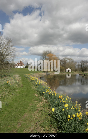 Giunchiglie sulle rive del fiume accanto a Prova di Houghton Lodge Foto Stock