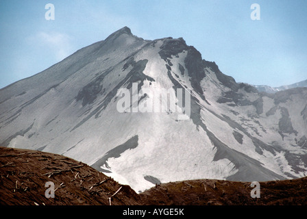 Mt. Sant Helens. Fotografato 6 anni dopo l'eruzione. Foto Stock