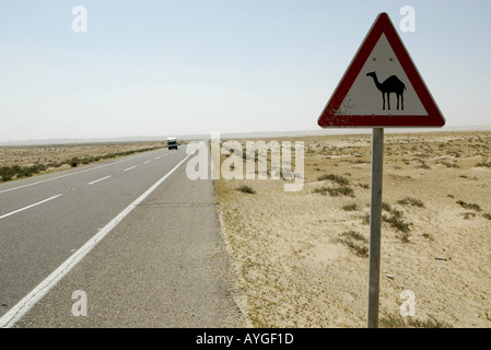 Segno di avvertimento di un attraversamento del cammello nel deserto del nord del Kuwait in prossimità del confine in Iraq Foto Stock