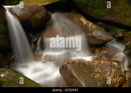 Cascata sul massiccio Mulanje, Malawi Foto Stock