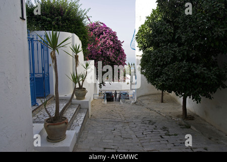 Stretta viuzza acciottolata Sidi Bou Said village Tunisia Foto Stock